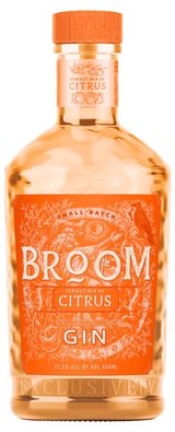 Изображение товара Джин Broom Citrus Россия, 0,5 л