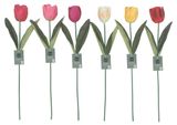 Изображение товара Цветок искусственный Actuel Тюльпан, 50 см в ассортименте