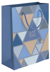 Изображение товара Пакет подарочный Акценты глянцевый, 20х24 см