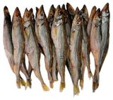 Изображение товара Корюшка азиатская вяленая неразделанная, вес