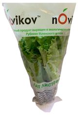 Изображение товара Салат листовой в горшочке, 1 штука