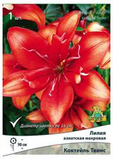 Изображение товара Луковица «Поиск» Лилия Махр Коктейль Твинс, 1 шт