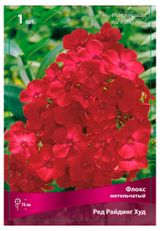 Изображение товара Флокс «Поиск» Метельчатый Ред Райдинг Худ, 1 шт