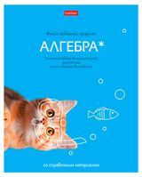Изображение товара Тетрадь предметная Hatber Алгебра А5 в клетку, 48 л