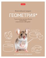 Изображение товара Тетрадь предметная Hatber Геометрия А5 в клетку, 48 л