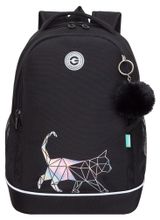 Изображение товара Рюкзак школьный для девочки Grizzly 2 отделения, 18x28x38 см