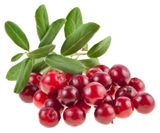 Изображение товара Брусника, 450 г