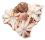 Изображение товара Осьминоги неразделанные свежемороженые 40-60, вес