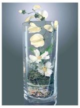 Изображение товара Ваза-цилиндр «ЭВИС» Люксембург стеклянная прозрачная Ø14x30 см