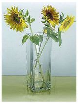 Изображение товара Ваза квадратная «ЭВИС» Тауэр стеклянная прозрачная Ø10x30 см