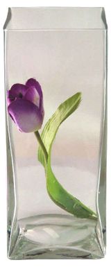 Изображение товара Квадратная ваза «ЭВИС» Амстердам стеклянная прозрачная Ø10x26 см