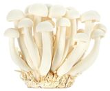 Изображение товара Грибы Шимеджи белые, 125 г