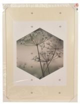 Изображение товара Фоторамка Actuel белая МДФ, 50х70 см