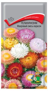 Изображение товара Семена Гелихризум «Поиск» Махровый смесь, 0,25 г