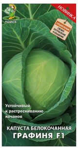 Изображение товара Семена Капуста «Поиск» Графиня белокочанная, 0,2 г