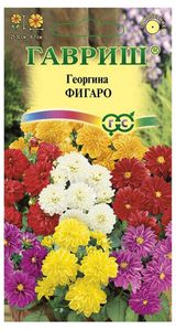 Изображение товара Семена Георгина «Гавриш» Фигаро, 0,3г