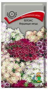 Изображение товара Семена Флокс «Поиск» Мерцающая звезда, 0,2 г
