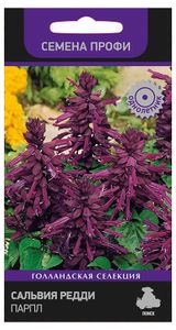 Изображение товара Семена Сальвия «Поиск» Редди парпл, 10 шт