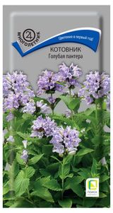 Изображение товара Семена Котовник «Поиск» Голубая пантера, 10 шт