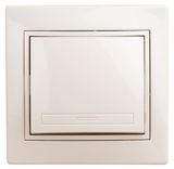 Изображение товара Выключатель Intro Plano 1-101-02 10А-250В СУ