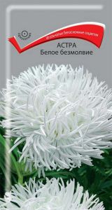 Изображение товара Семена Астра «Поиск» Белое безмолвие, 0.3 г