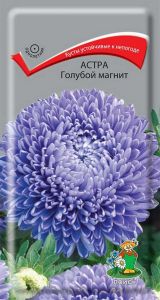 Изображение товара Семена Астра «Поиск» Голубой магнит, 0.3 г