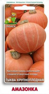 Изображение товара Семена Тыква «Поиск» Амазонка, 10 шт