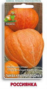 Изображение товара Семена Тыква «Поиск» Россиянка, 10 шт