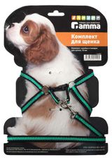 Изображение товара Шлейка для щенка Gamma с поводком, 10 мм