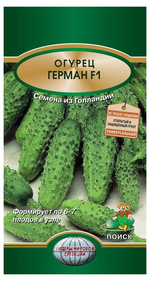 Купить Семена Огурец «Поиск» Герман, 12 шт (363736) в интернет-магазинеАШАН в Москве и России