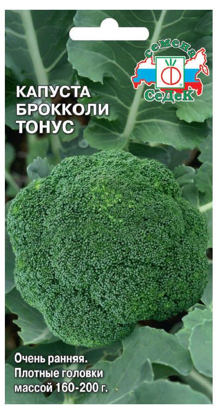 Капуста тонус описание сорта фото отзывы