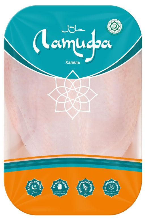 Курица латифа Курица латифа