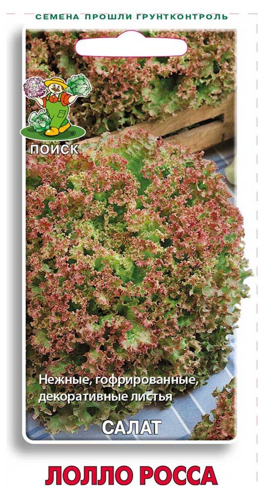 Семена Салат Поиск Лолло росса, 1 г