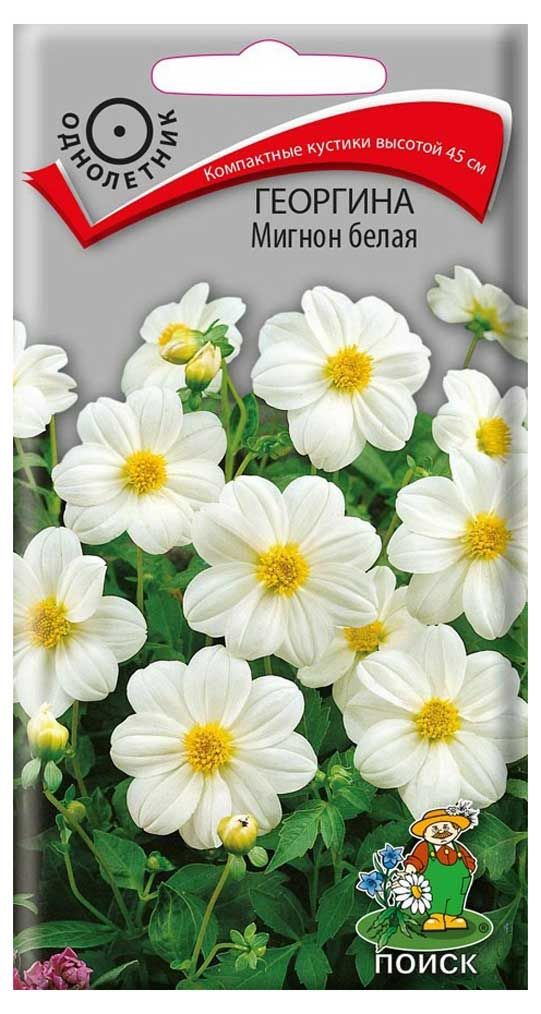 Семена Георгина Поиск Мигнон белая, 0,2 г