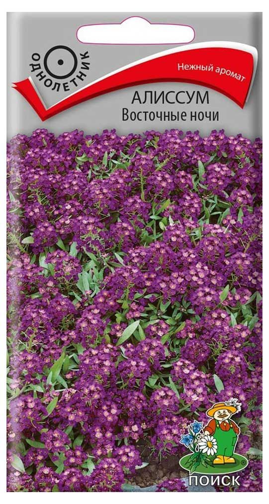 Семена Алиссум Поиск Восточные ночи, 0,3 г