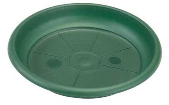 Поддон Santino Terra зеленый 215 см 33 см 76₽