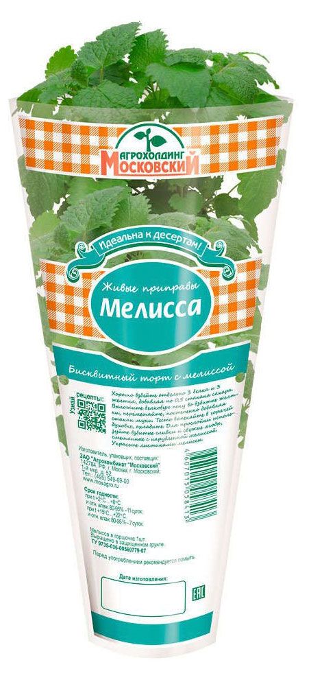 фото Мелисса в горшочке, 140 г -