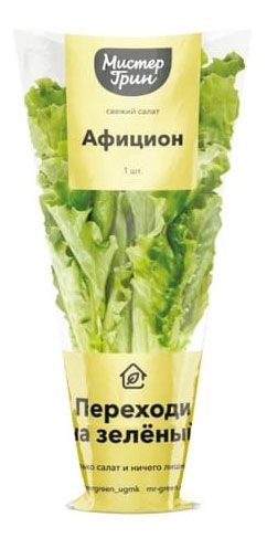 Салат Афицион горшечный, 100 г