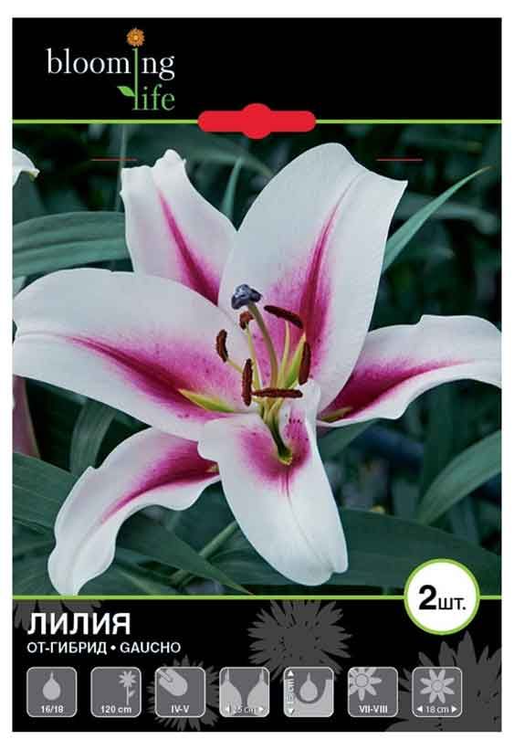 Нимф бел. с роз. полосками 5шт (14/16) ОТ купить, отзывы, фото, доставка - СП Ко