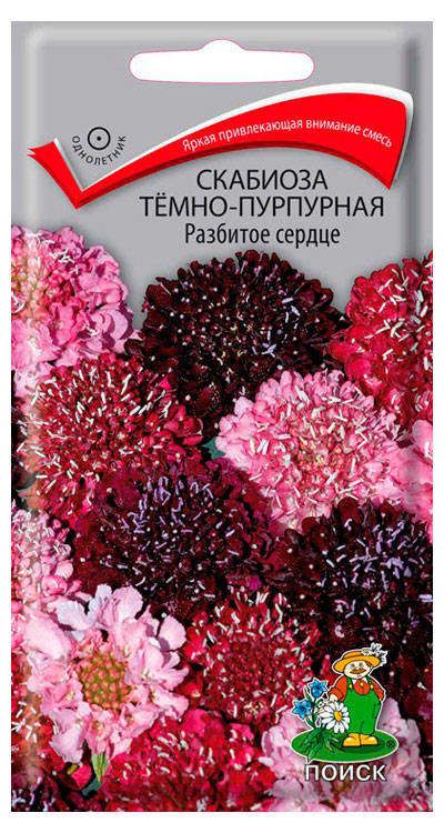 Семена Скабиоза Поиск Разбитое сердце, 10 шт