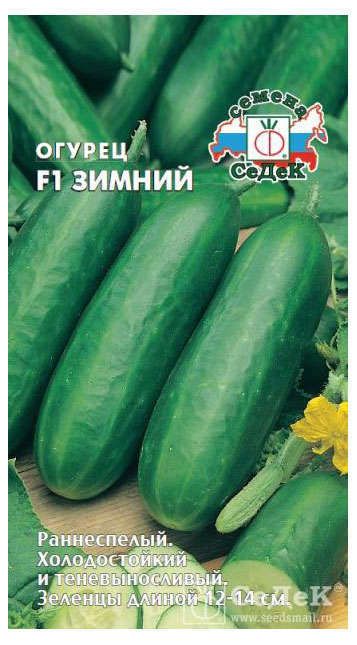 Семена Огурец СеДеК Зимний F1, 0,2 г