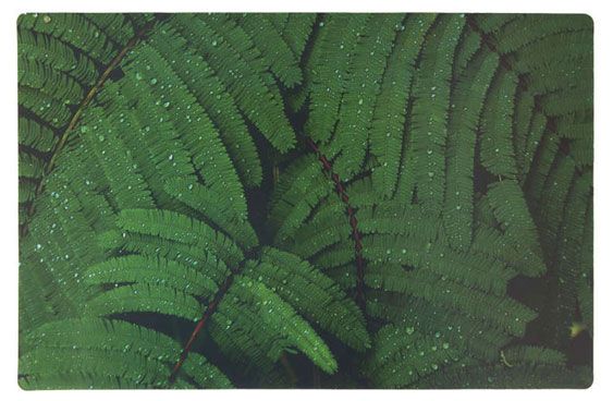 Салфетка сервировочная Remiling Household ПВХ, 43х28 см