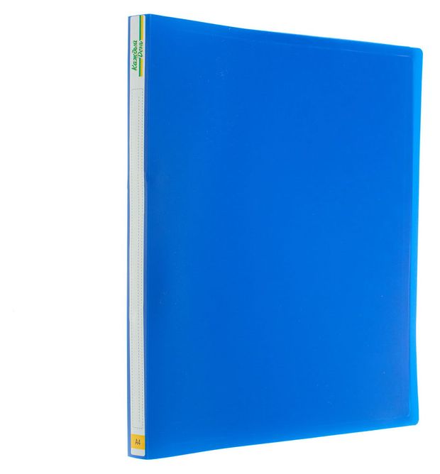 Папки Каждый день на 2-х кольцах А4 60₽