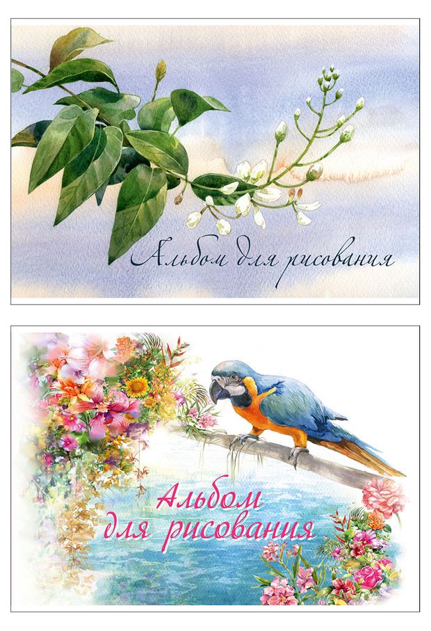 Альбом для рисования Academy Style на скрепках А4, 24 л