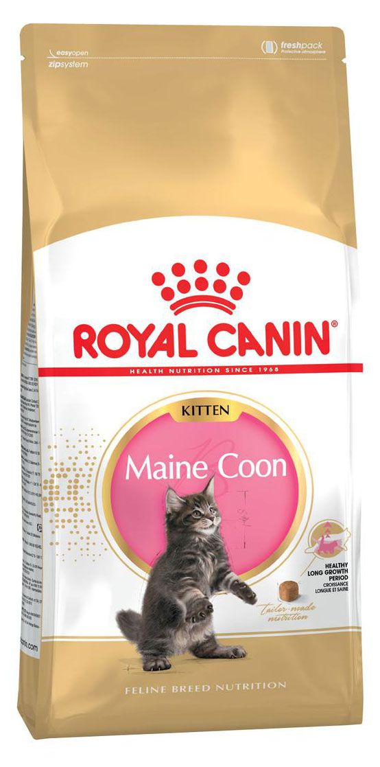 фото Сухой корм для котят royal canin maine coon kitten крупных пород, 2 кг