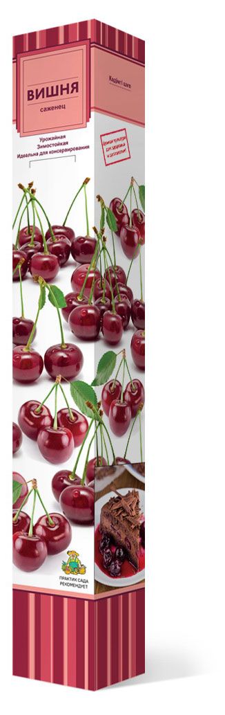 Вишня Поиск