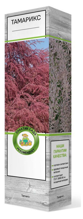 Тамарикс Поиск