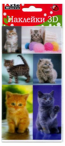 Наклейки Arte Nuevo 3D 9х21 см 40₽