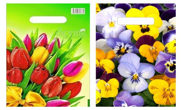 Пакет NN с вырубной неусиленной ручкой 20x30 см 26₽