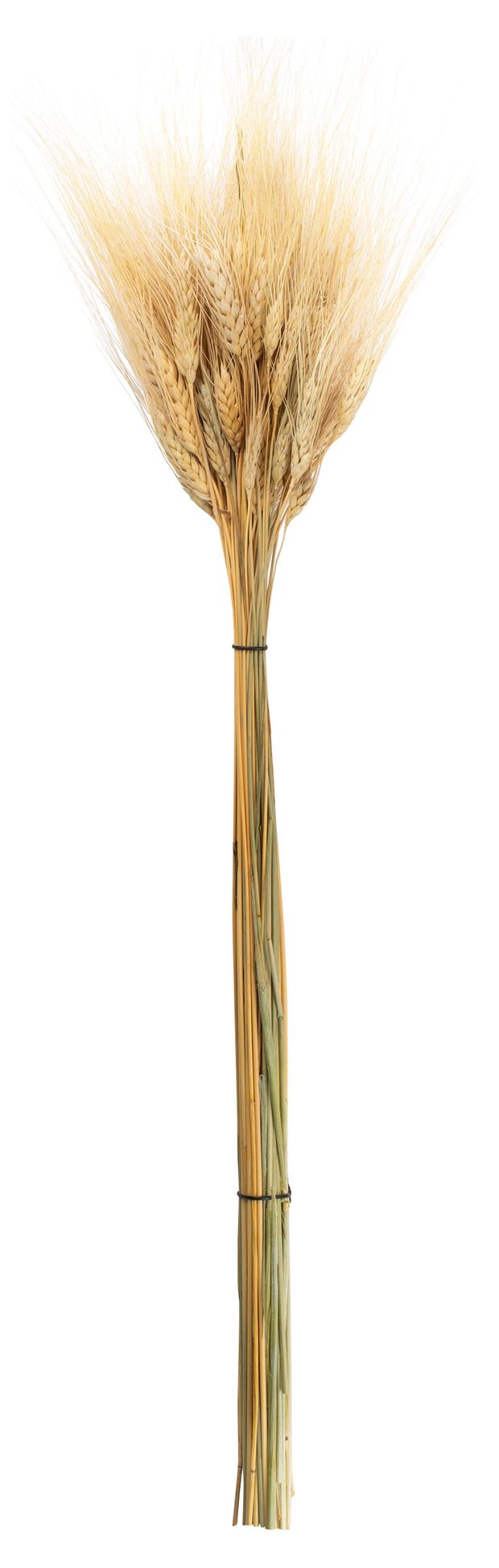 Сухой букет Колхоз Луч Пшеница